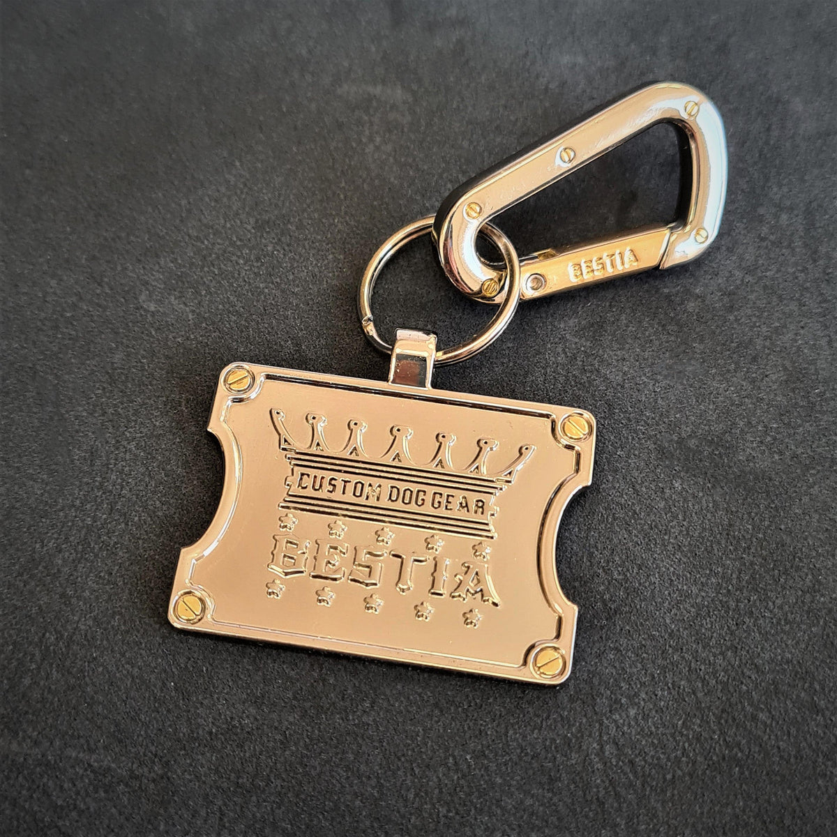 Stainless steel QR dog ID tag with clip-on carabiner