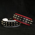 Rocky studded leather dog collars in black with red and white trim