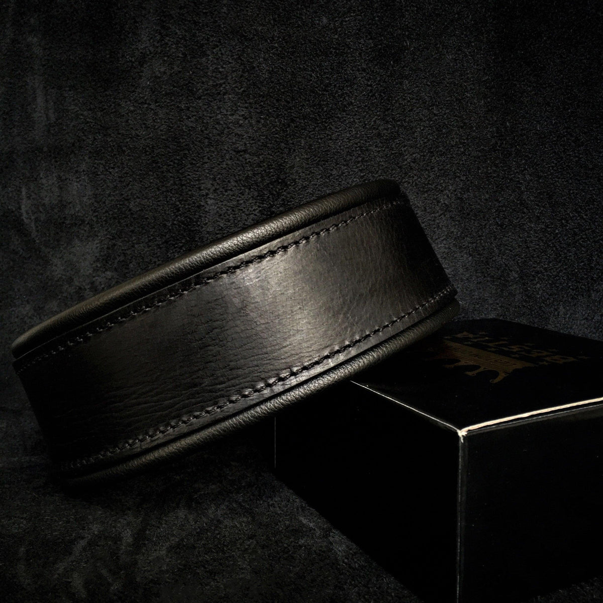 Style plain black padded leather dog collar